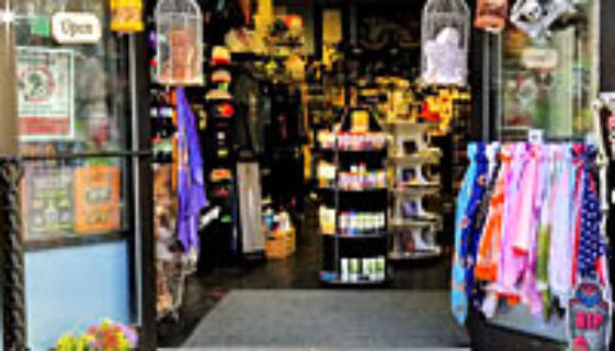 Twilight House Of Salem