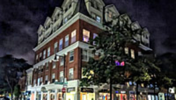 blackcatcuriosityshop