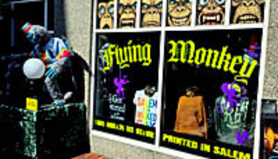 flyingmonkey
