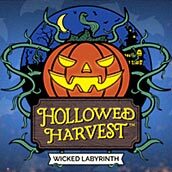 hollowedharvest