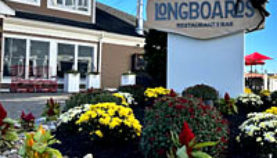 longboards3